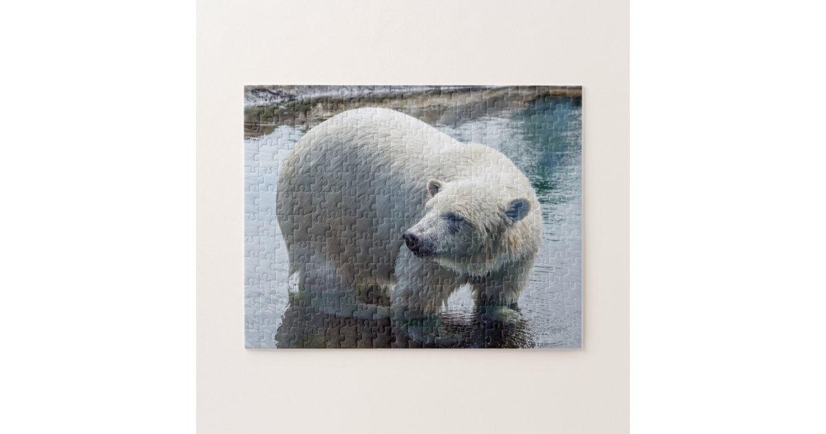 Polar Bear Puzzle | Zazzle