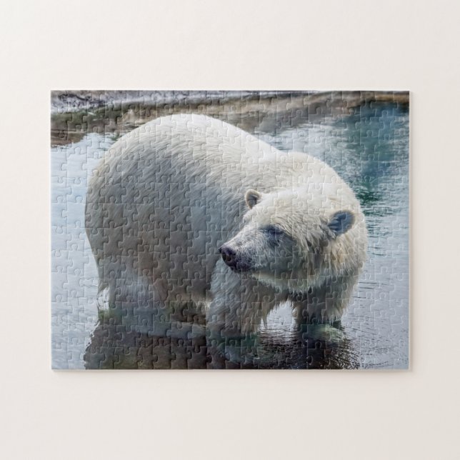 Polar Bear Puzzle (Horizontal)