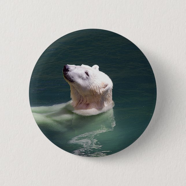 Polar bear resting button (Front)