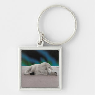 Polar Bear Resting Keychain