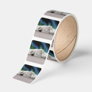 Polar Bear Resting Square Sticker