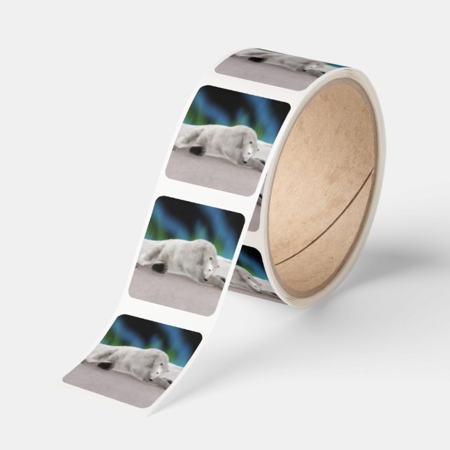 Polar Bear Resting Square Sticker (Roll)