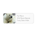 Polar Bear Return Address Label