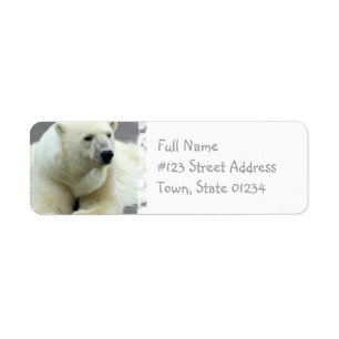 Polar Bear Return Address Label