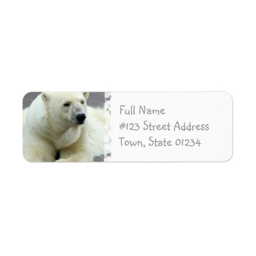 Polar Bear Return Address Label