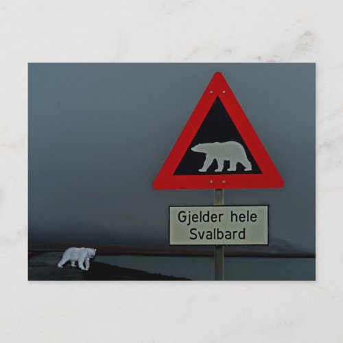 Polar bear road sign and polar bear postcard