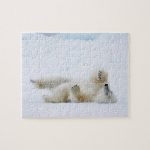 Polar bear rolling in snow, Norway Jigsaw Puzzle