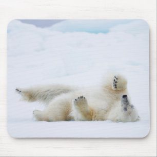 Polar bear rolling in snow, Norway Mouse Pad