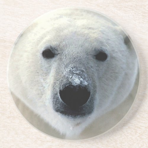Polar Bear Sandstone Coaster