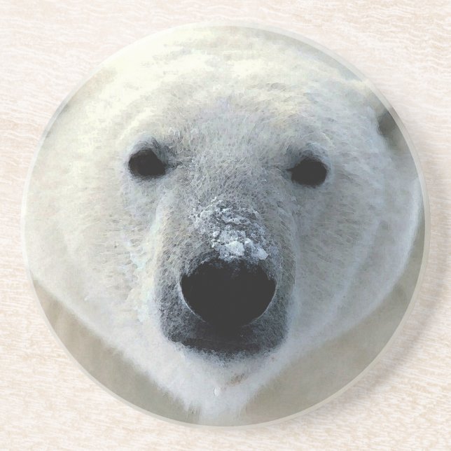 Polar Bear Sandstone Coaster (Front)