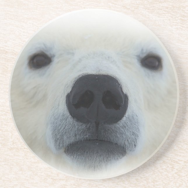Polar Bear Sandstone Coaster (Front)
