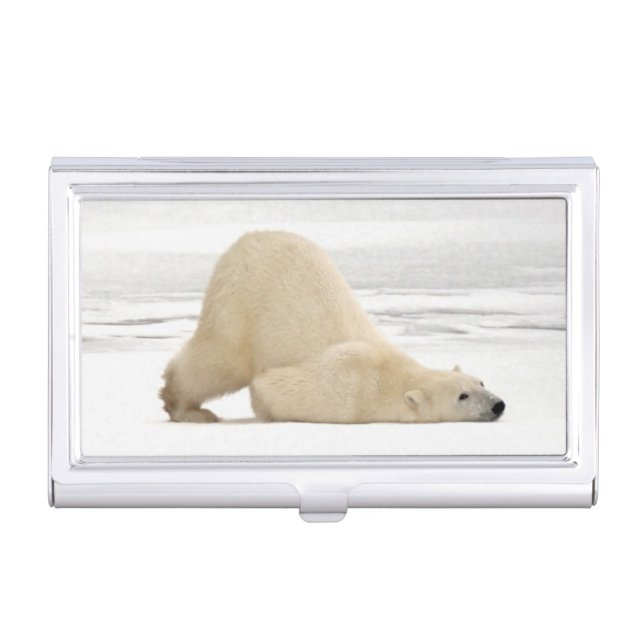 Polar bear scratching itself on frozen tundra business card holder (Front)