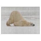 Polar bear scratching itself on frozen tundra