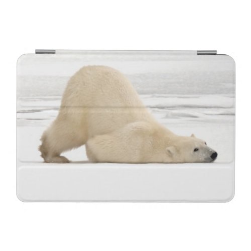 Polar bear scratching itself on frozen tundra iPad mini cover