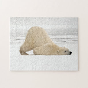 Polar bear scratching itself on frozen tundra jigsaw puzzle