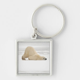Polar bear scratching itself on frozen tundra keychain