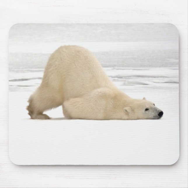Polar bear scratching itself on frozen tundra mouse pad (Front)