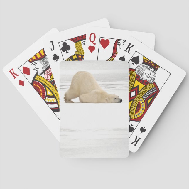 Polar bear scratching itself on frozen tundra poker cards (Back)