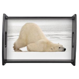 Polar bear scratching itself on frozen tundra serving tray