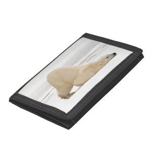 Polar bear scratching itself on frozen tundra trifold wallet