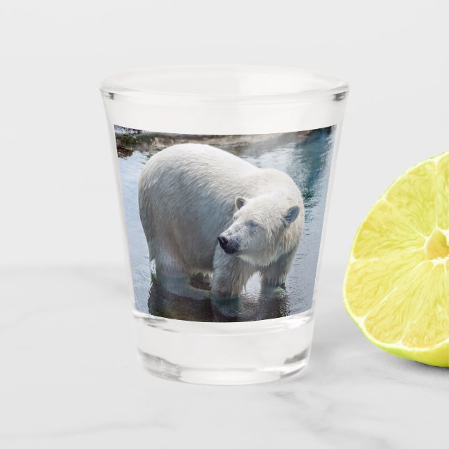 Polar Bear Shot Glass (Front)