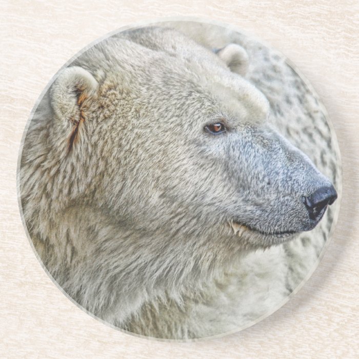 Polar Bear Side View Coaster