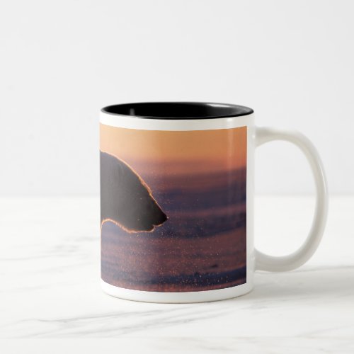 Polar bear silhouette sunrise pack ice of Two_Tone coffee mug