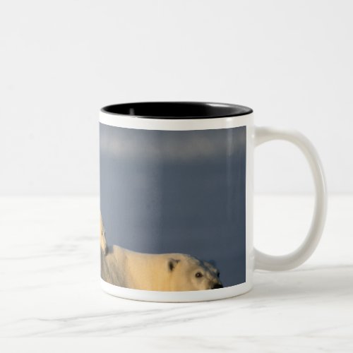 Polar bear sow lying down with spring cubs on Two_Tone coffee mug