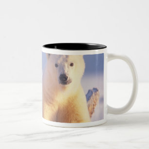 Polar bear sow with cub on pack ice Two-Tone coffee mug