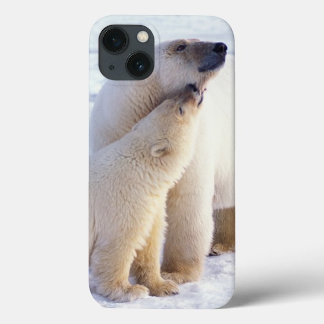 Polar bear sow with cub, pack Case-Mate iPhone case (Back)