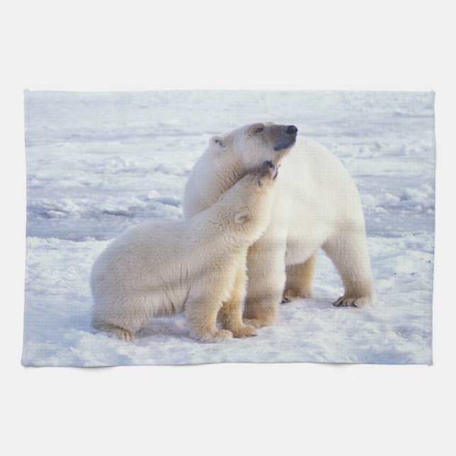 Polar bear sow with cub, pack kitchen towel (Horizontal)