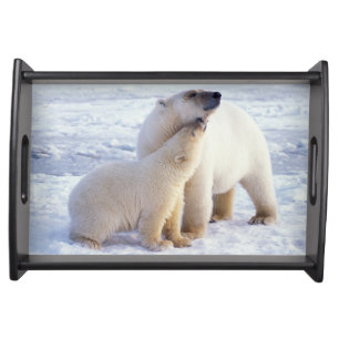 Polar bear sow with cub, pack serving tray