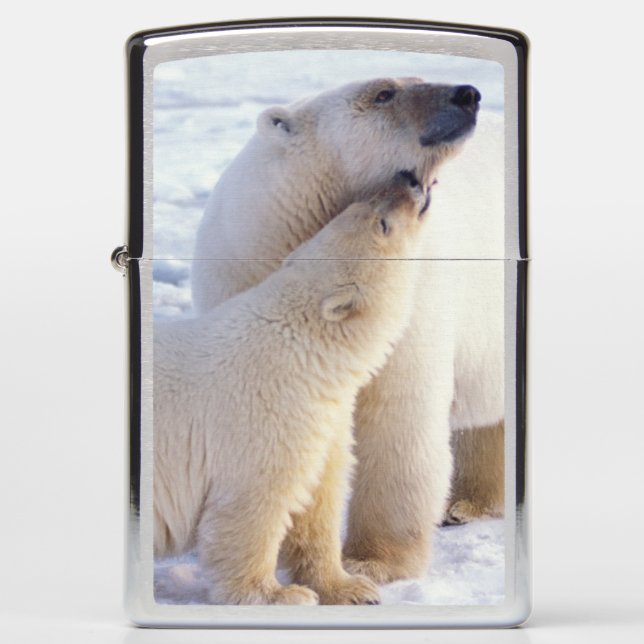 Polar bear sow with cub, pack zippo lighter (Front)