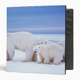 Polar bear sow with cubs 3 ring binder