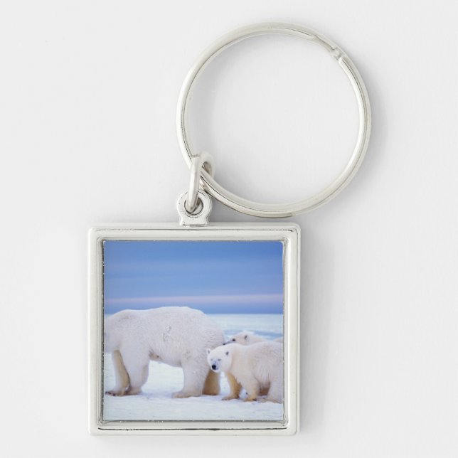 Polar bear sow with cubs keychain (Front)
