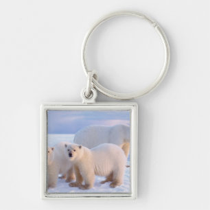 Polar bear sow with cubs on pack ice, coastal keychain
