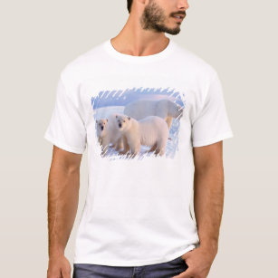 Polar bear sow with cubs on pack ice, coastal T-Shirt