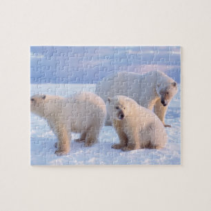 Polar bear sow with cubs on pack ice of coastal jigsaw puzzle