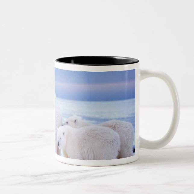 Polar bear sow with cubs Two-Tone coffee mug (Right)