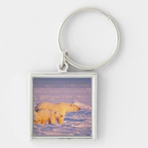 Polar bear sow with spring cubs on the frozen keychain