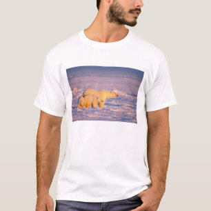 Polar bear sow with spring cubs on the frozen T-Shirt