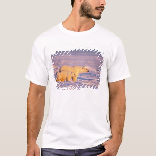 Polar bear sow with spring cubs on the frozen T_Shirt