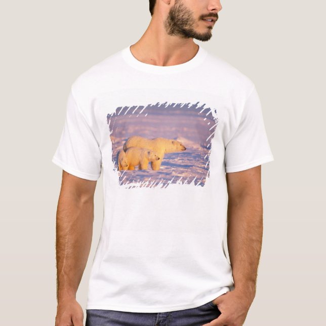 Polar bear sow with spring cubs on the frozen T-Shirt (Front)