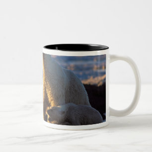 Polar bear sows with cub at side, 1002 coastal Two-Tone coffee mug