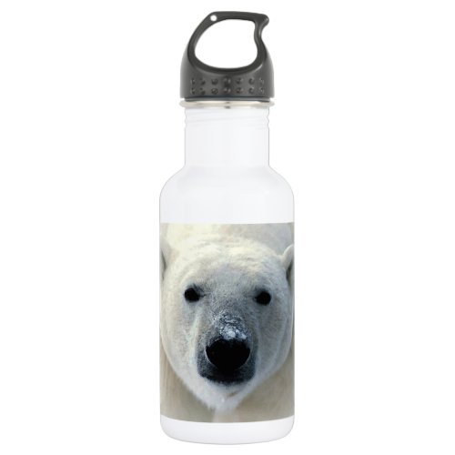 Polar Bear Stainless Steel Water Bottle
