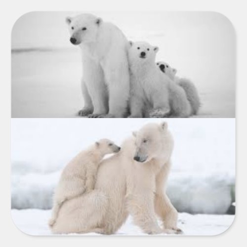 Polar Bear Sticker