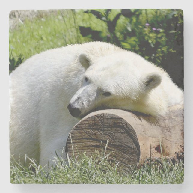 Polar Bear Stone Coaster (Front)