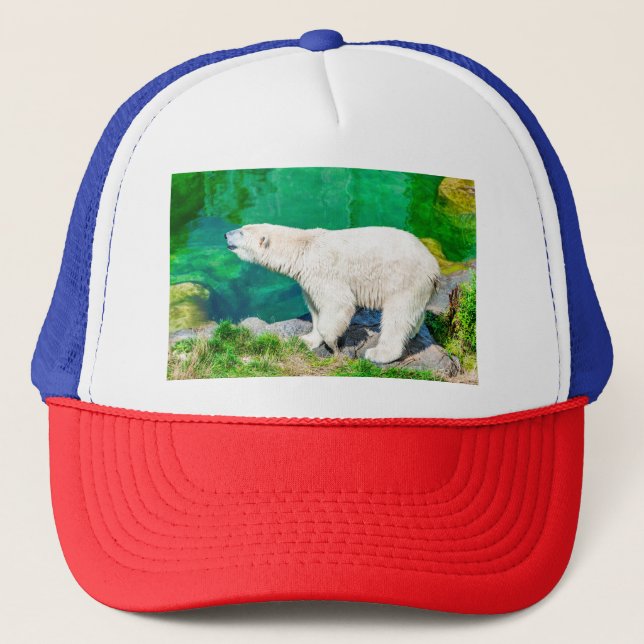 Polar bear trucker hat (Front)