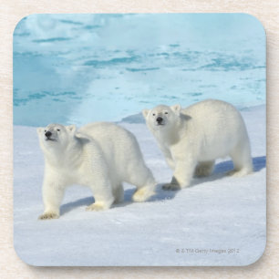 Polar bear, two cups on pack ice, Ursus Beverage Coaster