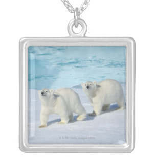 Polar bear, two cups on pack ice, Ursus Silver Plated Necklace